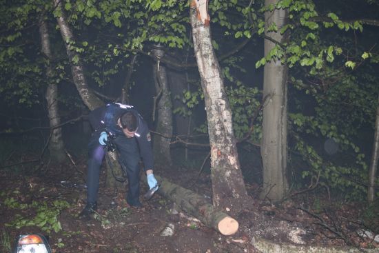 Unfall Schelborn
